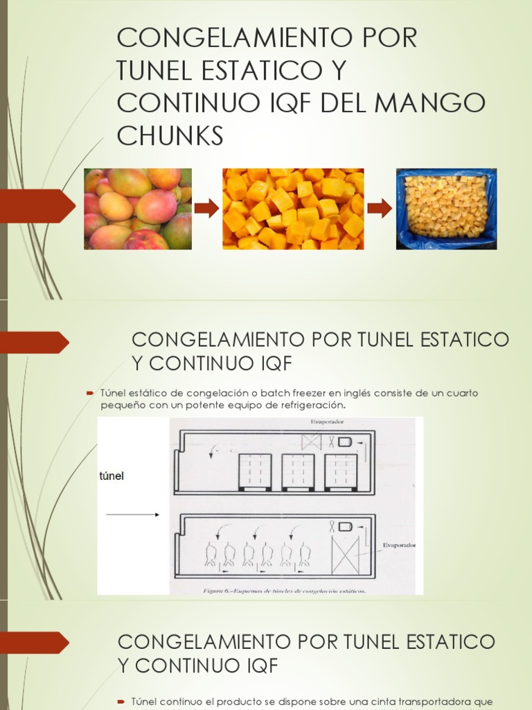 Norma iso 19011 2011 pdf mora t nel