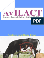 Avilact