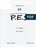 Pes S3 Wassini - 2017 2018 PDF