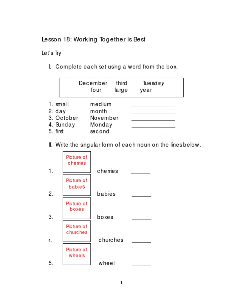 Noun Forms and Sequencing Activities | PDF | Plural | Grammatical Number