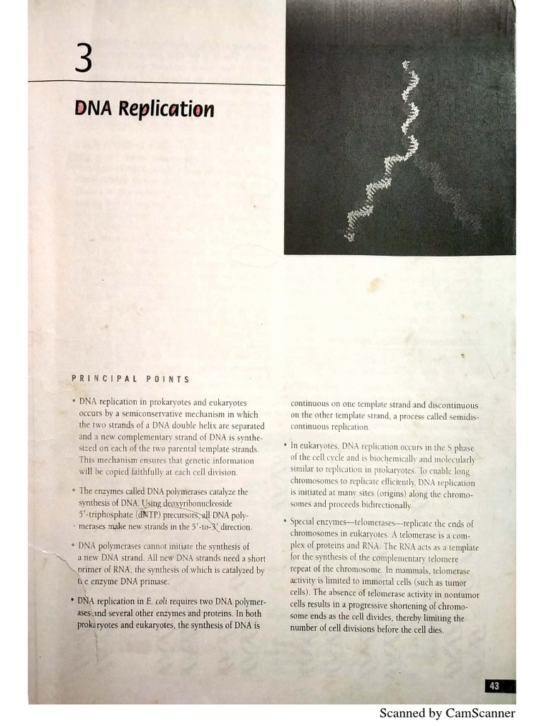 Replication | PDF