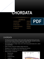 Chordata PPT Fix