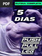 Push Pull Leg 5 Dias Avanzada