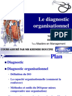 Le Diagnostic Organisationnel: 1 Mastère en Management