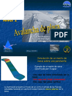 6 - La Avalancha de Placa