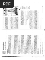 Antropologia Contemporânea