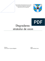 88583803-Degradarea-Stratului-de-Ozon.doc