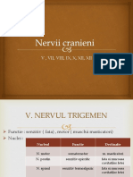 Nervii Cranieni