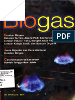 Biogas PDF