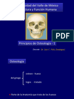 Principios de Osteología - Estructura y Función del Tejido Óseo