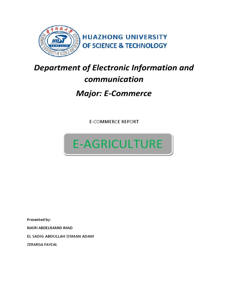 Ecommerce Project Report  E Commerce  Online Shopping