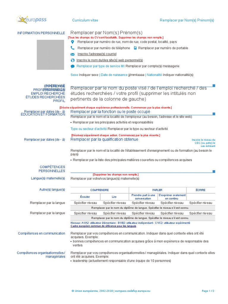 X10 Modele Cv Europass Fr Word Pdf Business Informatique Et Technologies De L Information