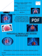 Equipo 1. Sistema Respiratorio Diapos PDF