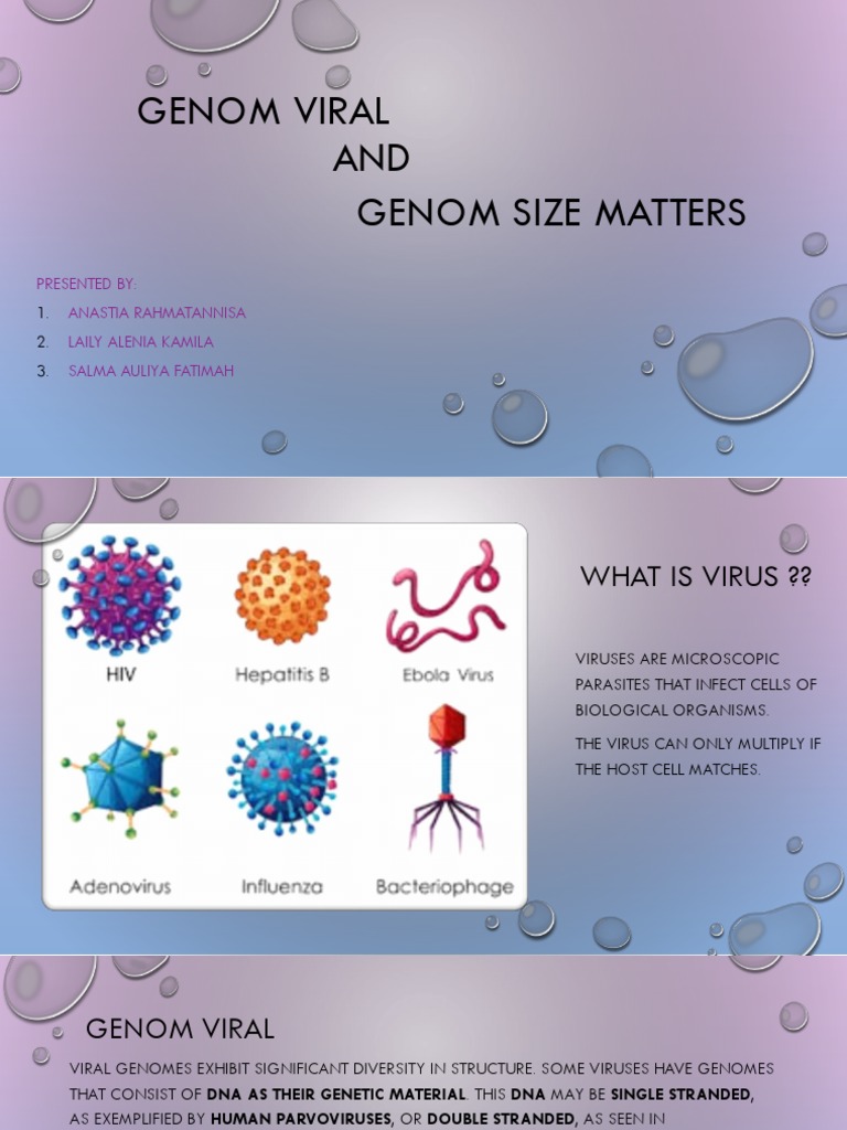 Virus Genome Pdf | Chapter 1 Introduction: The Structural Basis of ...