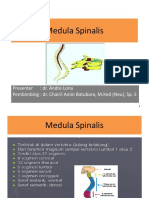Modul Neuro Anatomi: Medula Spinalis