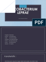 Mycobacterium Leprae