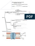 Schema Membrana