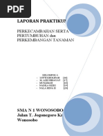Download LKS Perkecambahan by Mukhamad Aziz Hidayat SN39655508 doc pdf