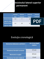 Curs III Morfo 2017-2018 2-1.pptx