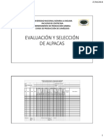 Evaluación y Selección de Alpacas