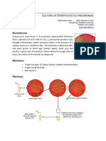 Culturing Streptococcus Pneumoniae PDF