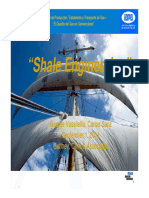 "Shale Engineering" "Shale Engineering": Jornadas de Producción, Tratamiento y Transporte de Gas