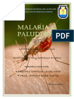 Malaria o Paludismo
