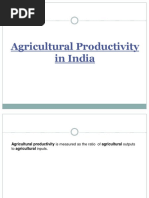 Agricultural Productivity in India