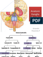 Anatomi Ganglia Basalis