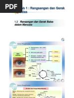 BAB 1 GERAK BALAS TUMBUHAN.pptx