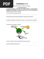 Totalidades 3 ,4 e 5