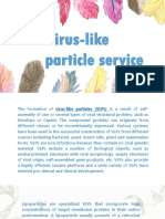 Virus-Like Particle Service