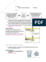 Receptors: Receptor Tyrosine Kinases (RTK)