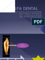 Pulpa Dental