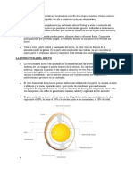 El Huevo Tiene Una Estructura Diseñada Por La Naturaleza Con El Fin de Proteger y Mantener El Futuro Embrión Hasta Su Eclosión y Dar Lugar A Un Pollito