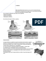 Lección 7 Fisiología Animal UMA