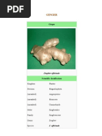 Download Ginger by narenvasagam SN39661235 doc pdf