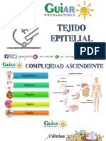 Histología - Tejido Epitelial GUIAR 2018 ALUMNOS I