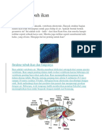 tugas struktur ikan  dhifa.docx