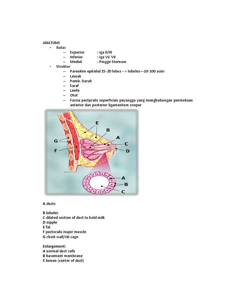 Tugas Presus DR Welman PDF Kanker Payudara Mamografi