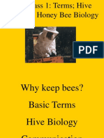 Bee Class 1: Terms Hive Products Honey Bee Biology