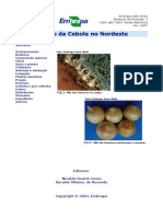 Cultivodacebola.pdf