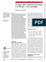Added Sugars Drive Nutrient and Energy Defisit in Obesiy A New Paradigm