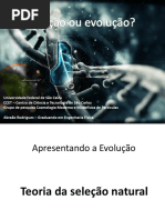 evolução ou criação