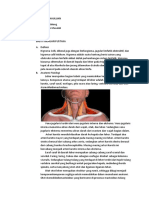 Lapsus limpangioma