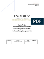 HSE Plan.pdf