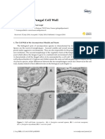 Fungi: Special Issue: Fungal Cell Wall