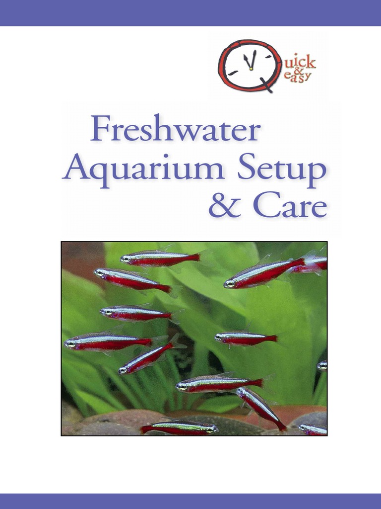 Freshwater Aquarium - Setup and Care | PDF | Aquarium | Fish And Humans