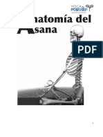 anatomía del yoga.pdf
