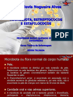 aula microbiota, estreptococos e estafilococos_2.ppt